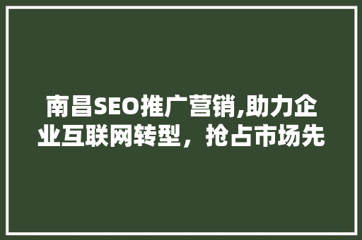 南昌SEO推广营销,助力企业互联网转型，抢占市场先机