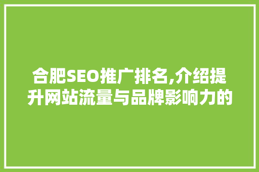 合肥SEO推广排名,介绍提升网站流量与品牌影响力的方法