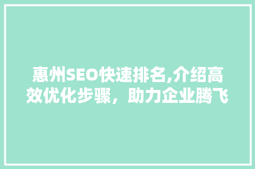 惠州SEO快速排名,介绍高效优化步骤，助力企业腾飞