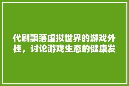 代刷飘落虚拟世界的游戏外挂，讨论游戏生态的健康发展