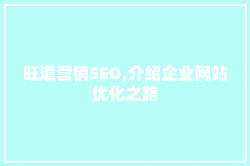 旺道营销SEO,介绍企业网站优化之路