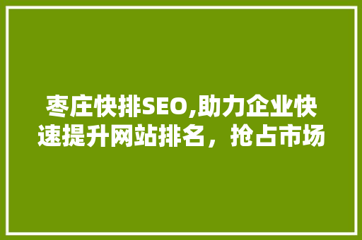 枣庄快排SEO,助力企业快速提升网站排名，抢占市场先机  第1张