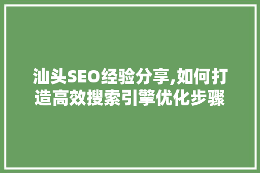 汕头SEO经验分享,如何打造高效搜索引擎优化步骤