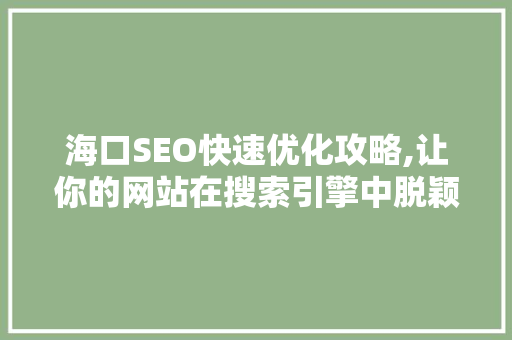 海口SEO快速优化攻略,让你的网站在搜索引擎中脱颖而出
