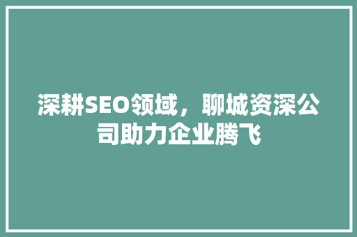 深耕SEO领域，聊城资深公司助力企业腾飞