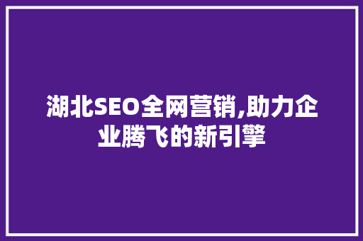 湖北SEO全网营销,助力企业腾飞的新引擎