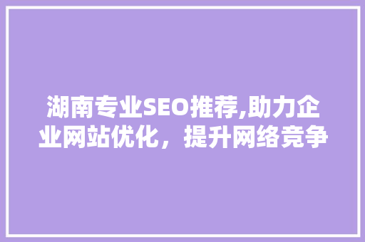 湖南专业SEO推荐,助力企业网站优化，提升网络竞争力