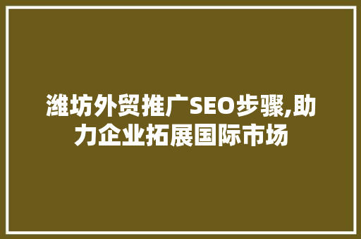 潍坊外贸推广SEO步骤,助力企业拓展国际市场