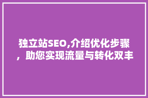 独立站SEO,介绍优化步骤，助您实现流量与转化双丰收