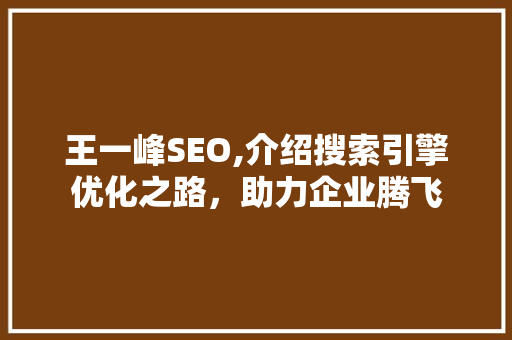 王一峰SEO,介绍搜索引擎优化之路，助力企业腾飞  第1张