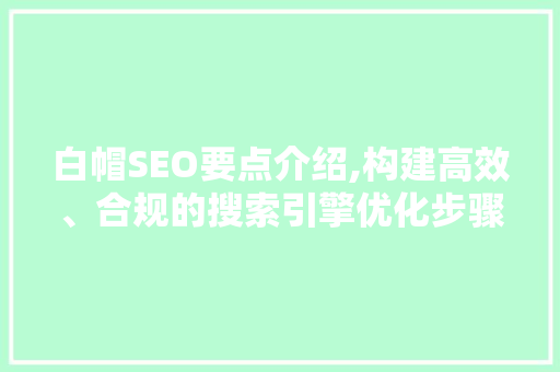 白帽SEO要点介绍,构建高效、合规的搜索引擎优化步骤