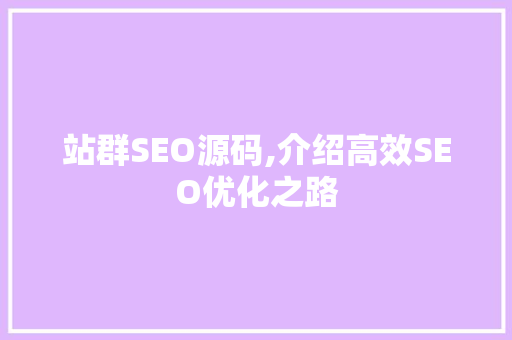 站群SEO源码,介绍高效SEO优化之路