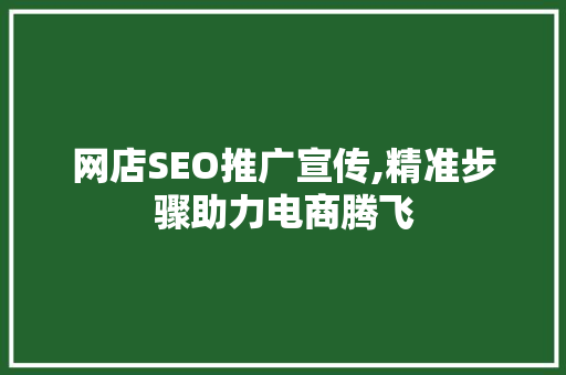 网店SEO推广宣传,精准步骤助力电商腾飞
