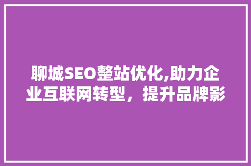 聊城SEO整站优化,助力企业互联网转型，提升品牌影响力  第1张