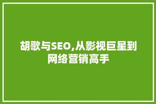 胡歌与SEO,从影视巨星到网络营销高手