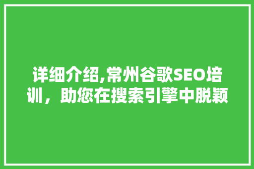 详细介绍,常州谷歌SEO培训，助您在搜索引擎中脱颖而出