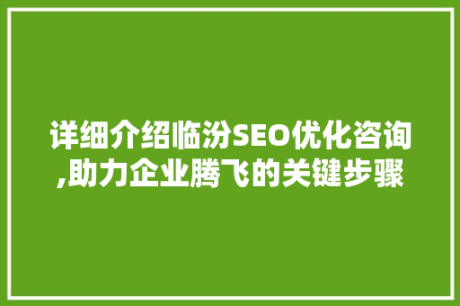 详细介绍临汾SEO优化咨询,助力企业腾飞的关键步骤