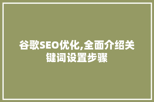 谷歌SEO优化,全面介绍关键词设置步骤