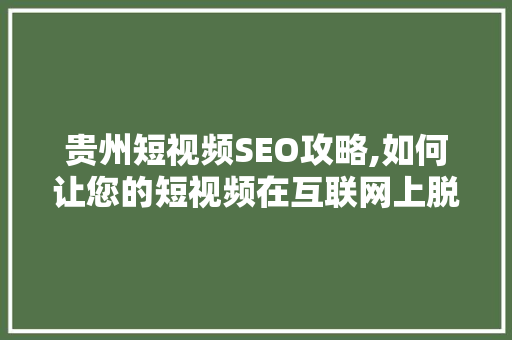 贵州短视频SEO攻略,如何让您的短视频在互联网上脱颖而出