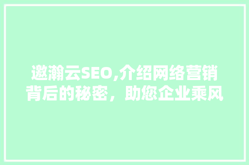 邀瀚云SEO,介绍网络营销背后的秘密，助您企业乘风破浪