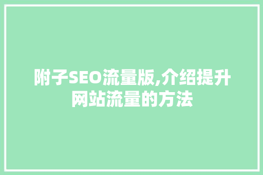 附子SEO流量版,介绍提升网站流量的方法