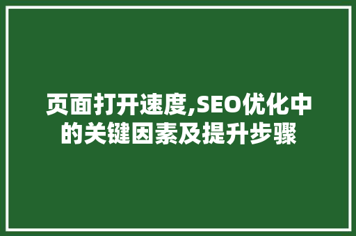 页面打开速度,SEO优化中的关键因素及提升步骤  第1张