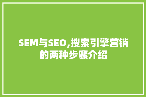 SEM与SEO,搜索引擎营销的两种步骤介绍