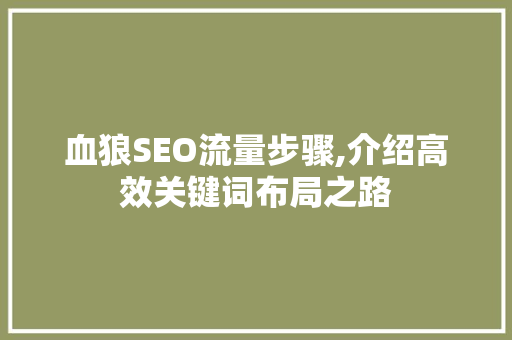 血狼SEO流量步骤,介绍高效关键词布局之路