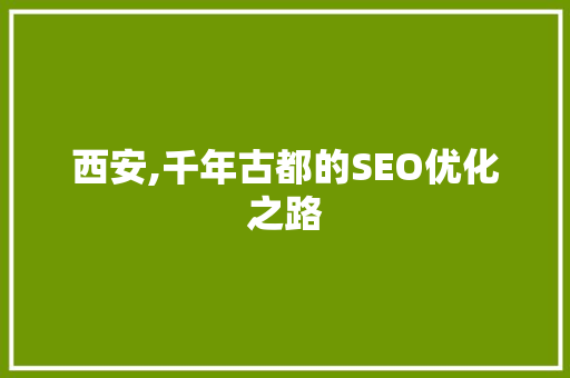 西安,千年古都的SEO优化之路