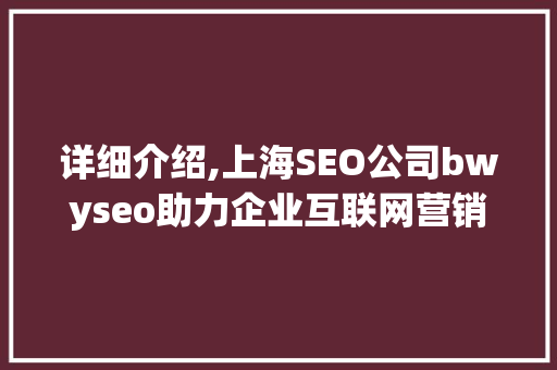 详细介绍,上海SEO公司bwyseo助力企业互联网营销新篇章