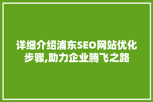详细介绍浦东SEO网站优化步骤,助力企业腾飞之路