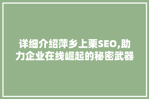 详细介绍萍乡上栗SEO,助力企业在线崛起的秘密武器