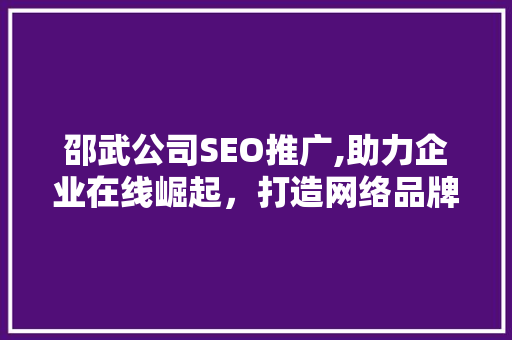 邵武公司SEO推广,助力企业在线崛起，打造网络品牌新高度