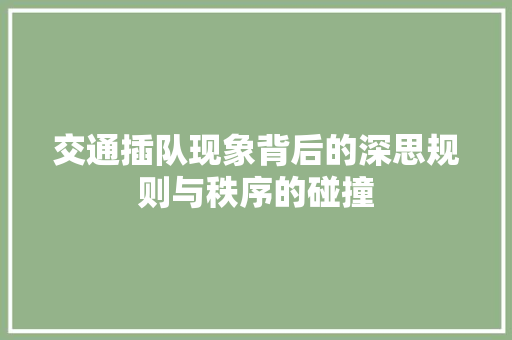 交通插队现象背后的深思规则与秩序的碰撞  第1张