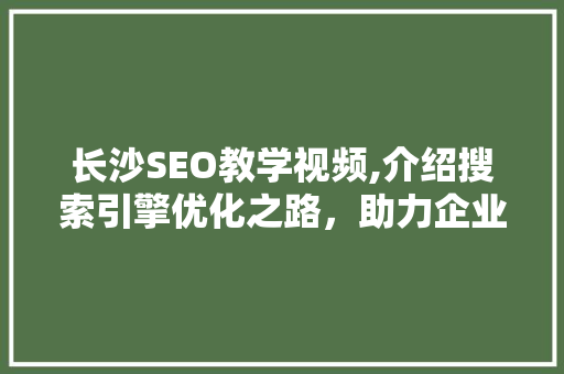 长沙SEO教学视频,介绍搜索引擎优化之路，助力企业腾飞