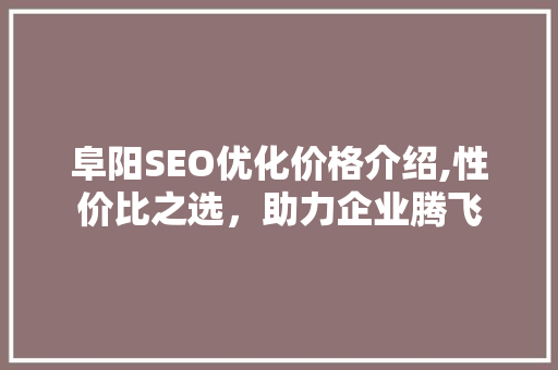 阜阳SEO优化价格介绍,性价比之选，助力企业腾飞