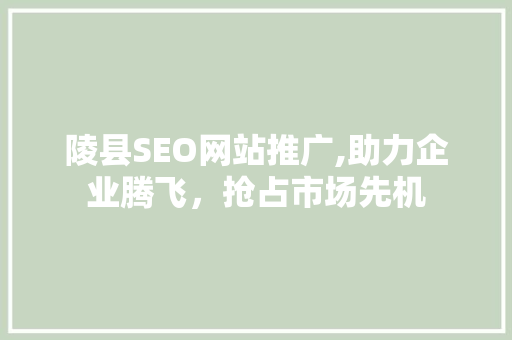 陵县SEO网站推广,助力企业腾飞，抢占市场先机