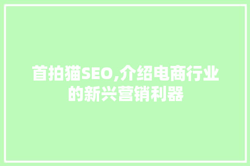 首拍猫SEO,介绍电商行业的新兴营销利器