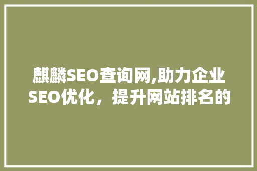 麒麟SEO查询网,助力企业SEO优化，提升网站排名的秘密武器