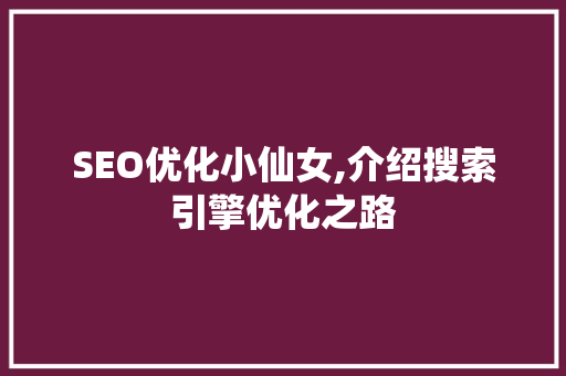 SEO优化小仙女,介绍搜索引擎优化之路