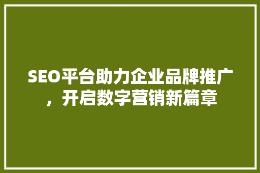 SEO平台助力企业品牌推广，开启数字营销新篇章