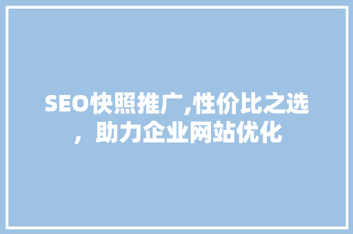 SEO快照推广,性价比之选，助力企业网站优化