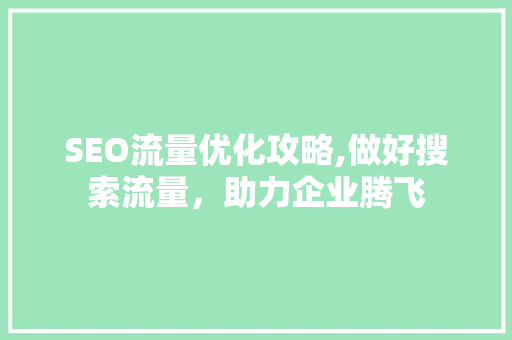 SEO流量优化攻略,做好搜索流量，助力企业腾飞