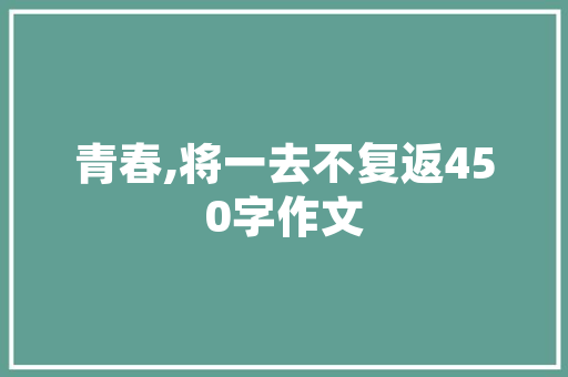 SEO网店,介绍电商领域的“隐形冠军”