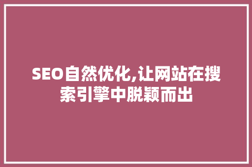 SEO自然优化,让网站在搜索引擎中脱颖而出