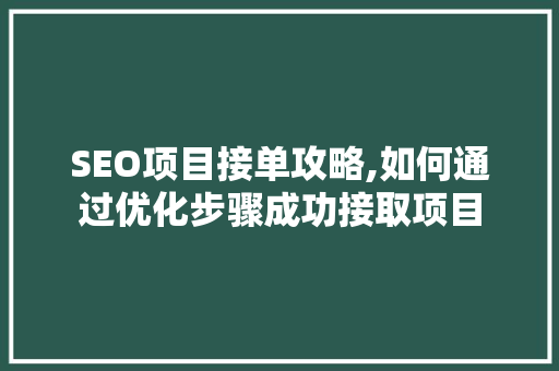 SEO项目接单攻略,如何通过优化步骤成功接取项目
