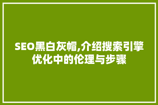 SEO黑白灰帽,介绍搜索引擎优化中的伦理与步骤
