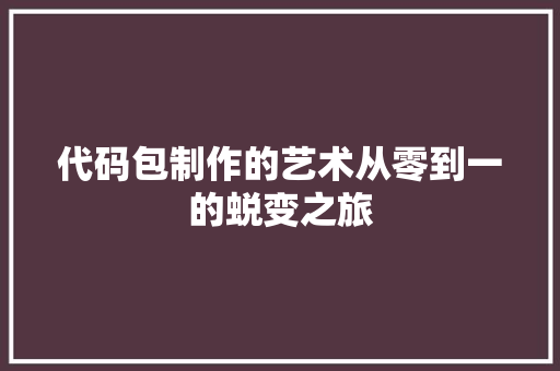 代码包制作的艺术从零到一的蜕变之旅  第1张