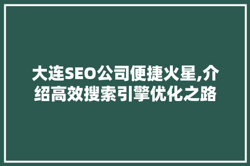 大连SEO公司便捷火星,介绍高效搜索引擎优化之路