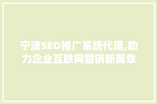 宁波SEO推广系统代理,助力企业互联网营销新篇章